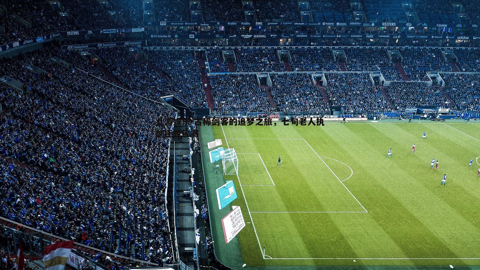 九游娱乐-古稀剑客的追梦之旅,七旬老人执剑逐世锦赛